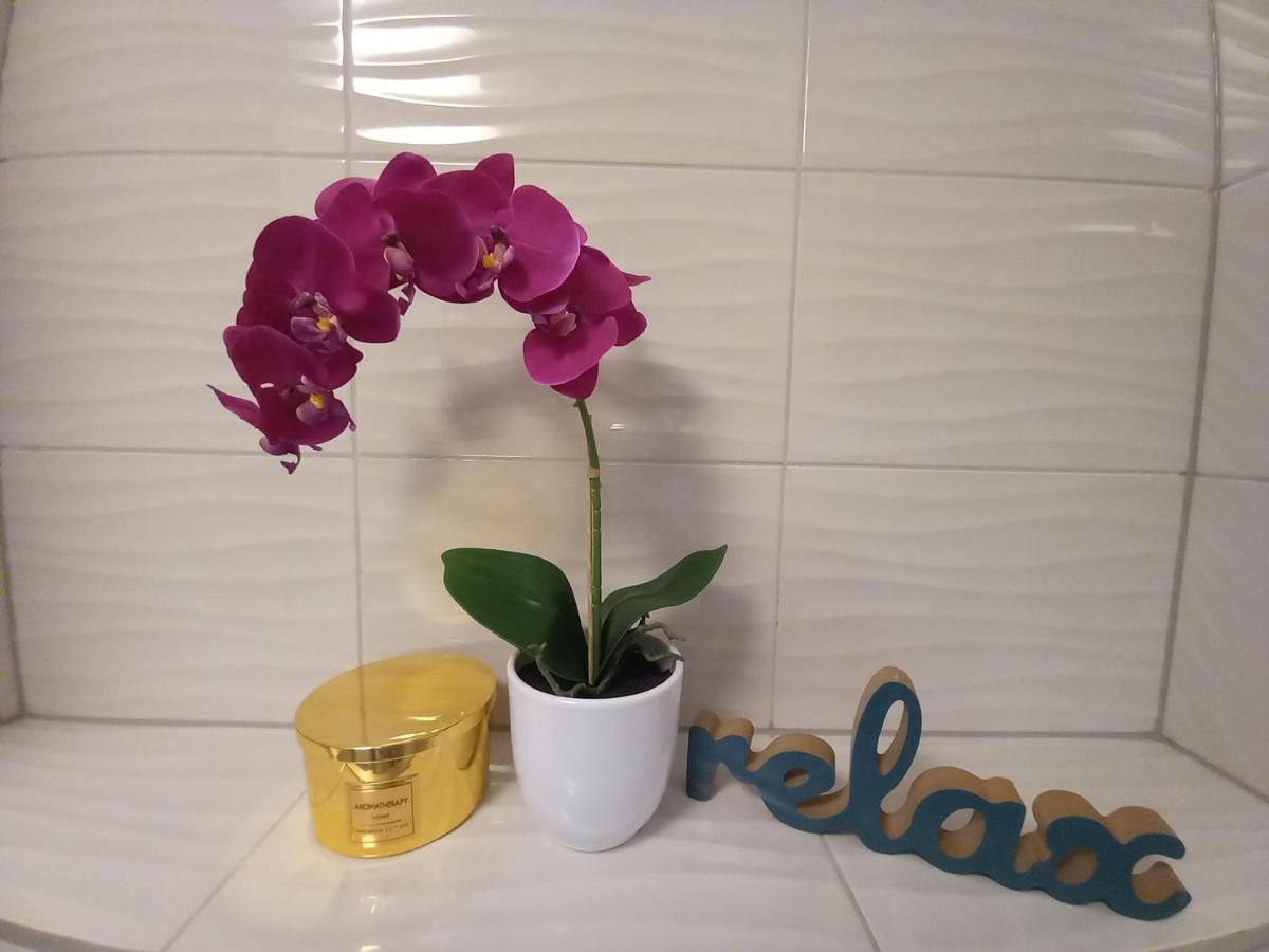Apartment Hedonist Spalato ภายนอก รูปภาพ